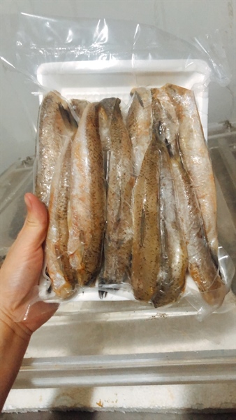 Cá bống biển - Thực Phẩm Đông Lạnh Khánh Hà - Công Ty TNHH Thực Phẩm Khánh Hà